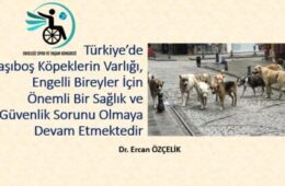 EngelsizSpor