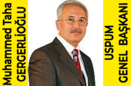 TahaGergerlioglu